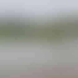 flooding in the ribble valley