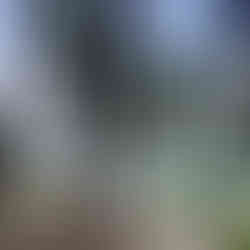 man walking through trees in front of a lake