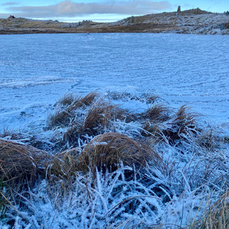 frosty pond 