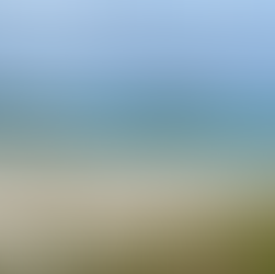 blue sea white sand on reef beach