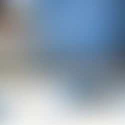 VW Bus magazine article