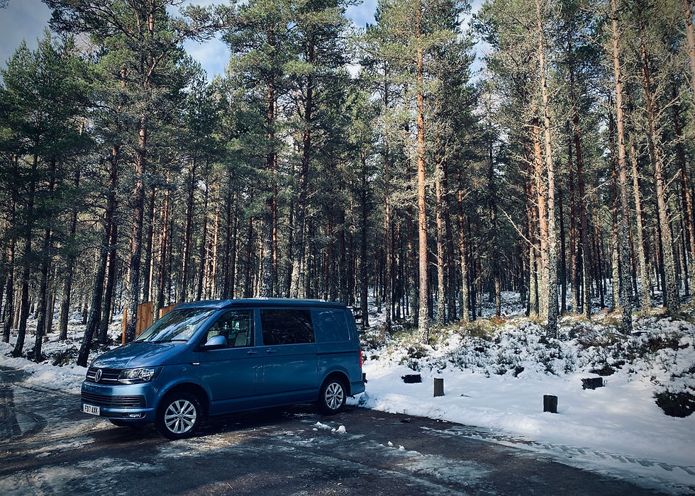 vw campervan in frozen forest