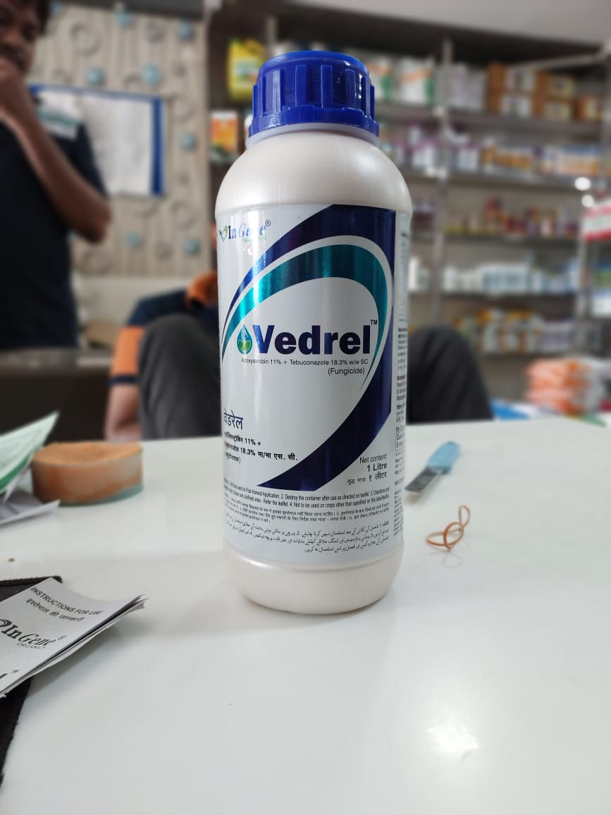 Ingene Vedral