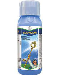 Bayer Solomon