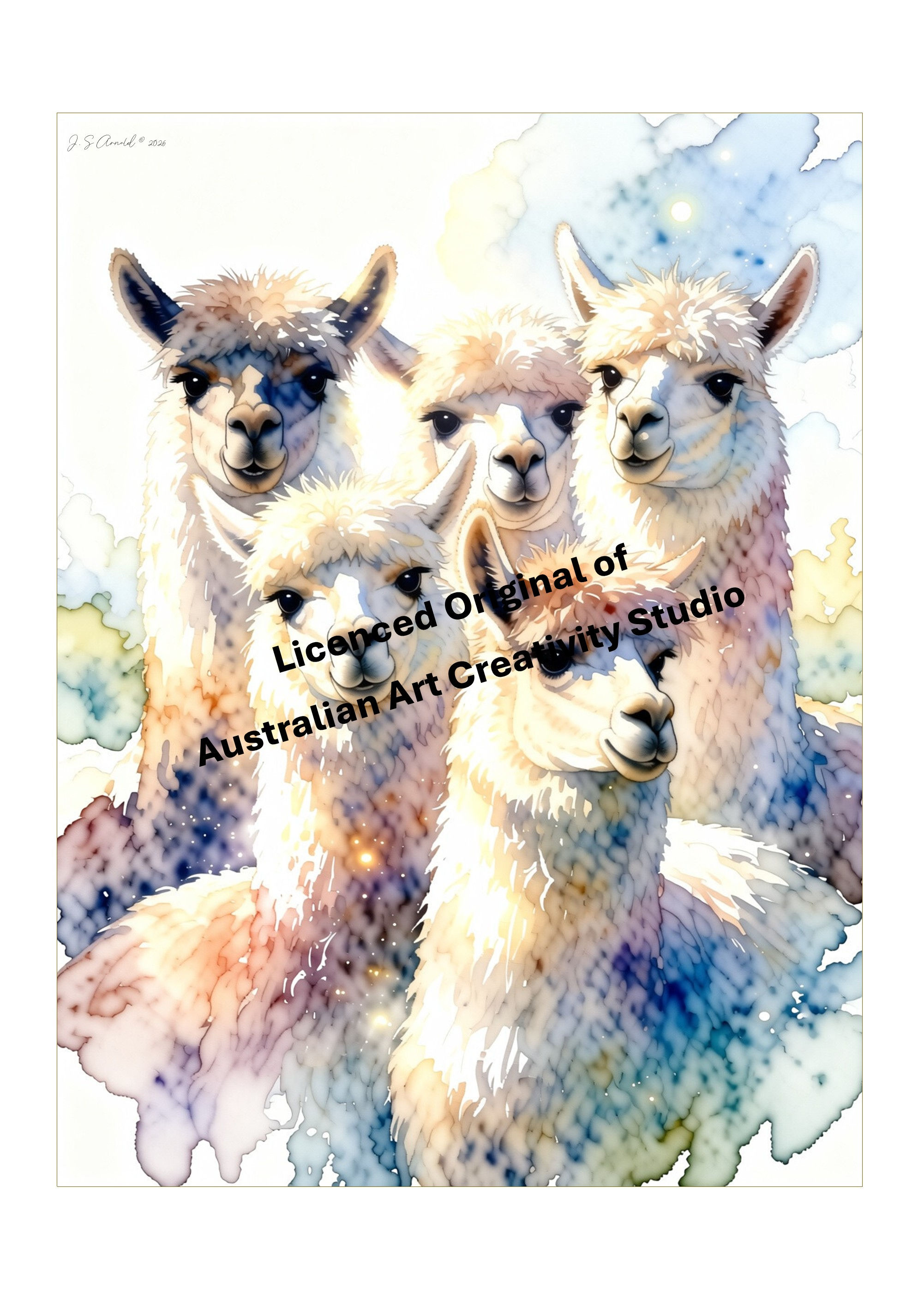 Barnyard Attitude - Alpacas