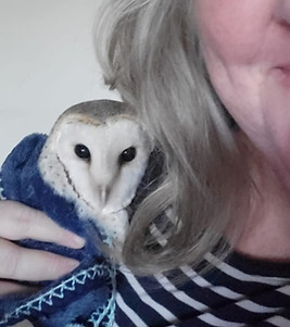 Jody Simone Arnold with rescued barn owl
