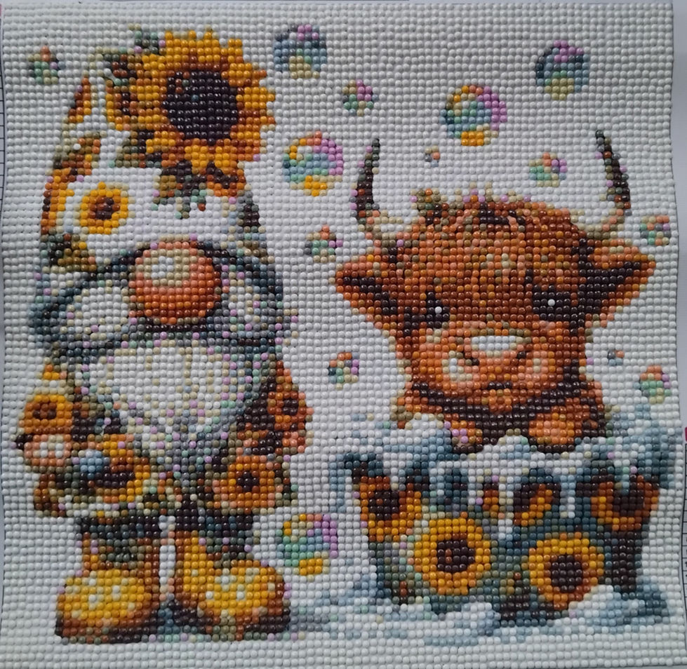 Gnome with bubbly highland cow, 2025