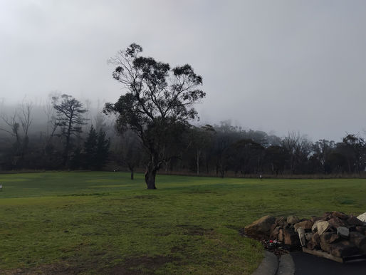 View of Mount Gambier Lakes from Carinya Gardens