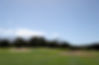 Royal-Cape-762.jpg