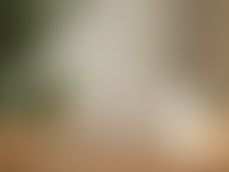 The Impact of Innovative Design on Branding