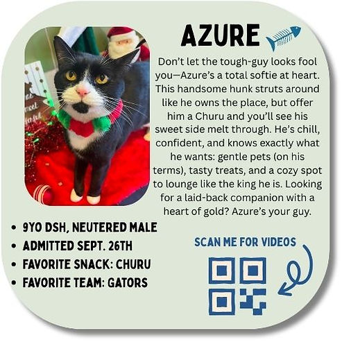 Ideal cat cage card