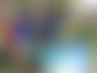 Canine Carnivale was arf-ly fun!