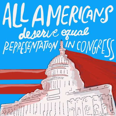 1399_All-Americans-deserve-equal-representations-in-congress-gif_original.gif