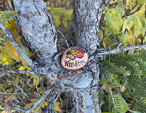 A peach stone with a monarch butterfly and the word "Wisdom" on it laying in the forked branch of a tree; foliage behind it