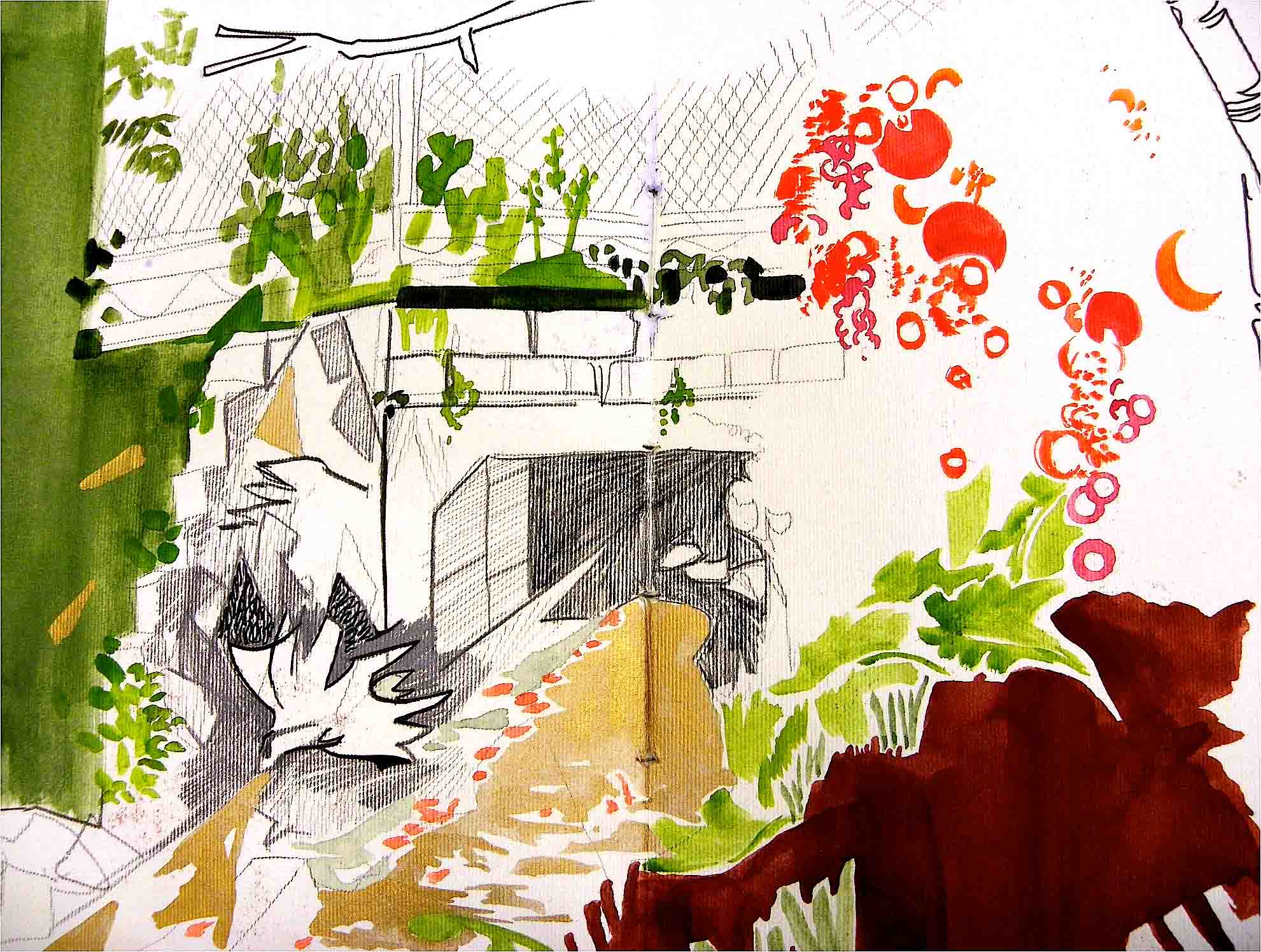 The poisonous berries and the bird