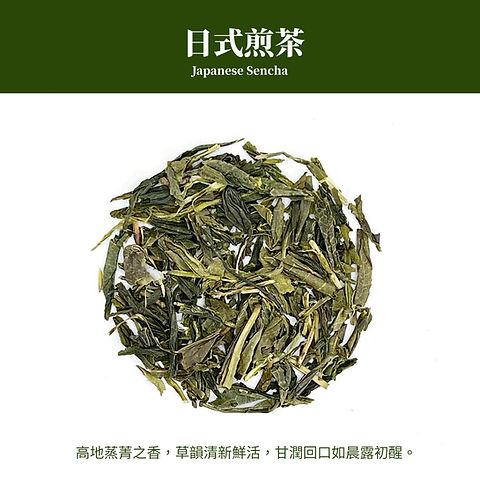 日式煎茶｜Japanese Sencha | 至峰茶業-2025