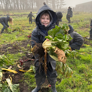 Smiling boy holding harvested beets, Oak Field Primary school