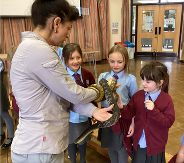 Woman holds snake for children. Beaufort Hill children in uniforms Year 3