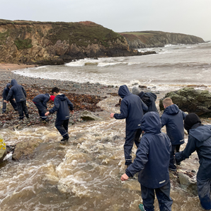 Students wade through coastal stream