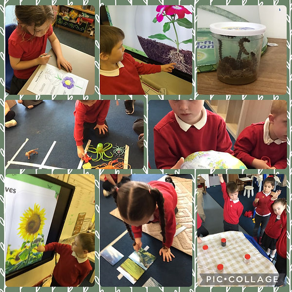 We started our first week back with our themed DIP day where we explored our sensory jars identifying that they held water, soil, sand, and air.