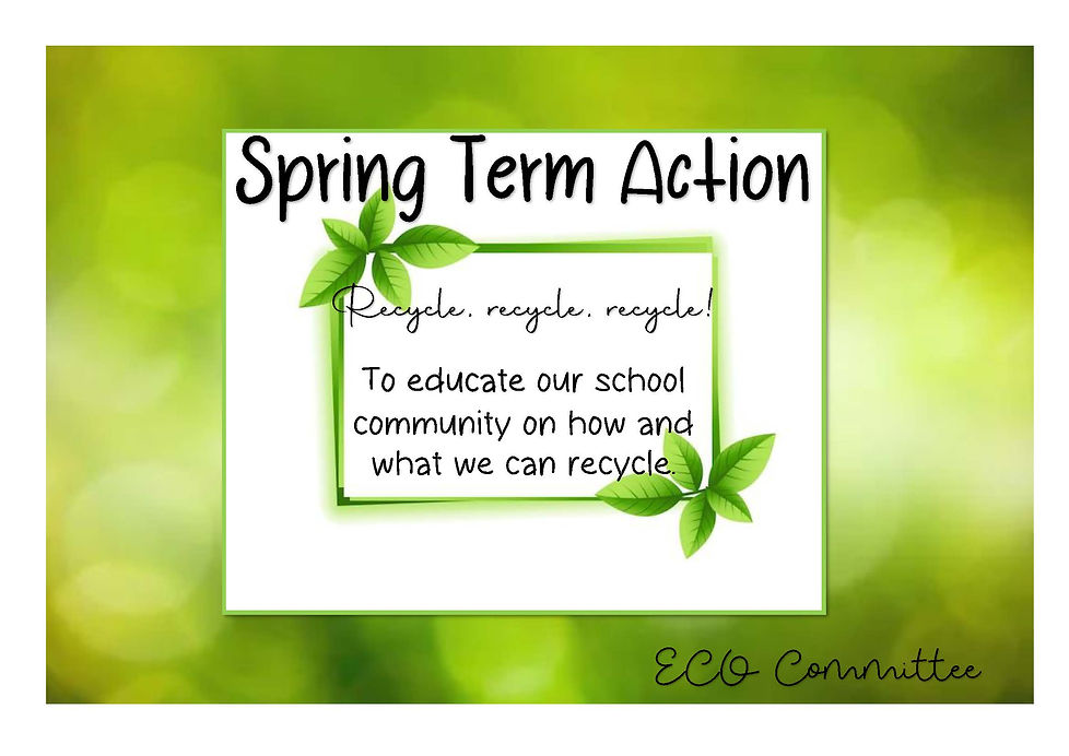 Eco Team Spring Action
