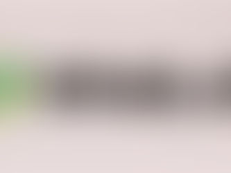 国会政党　日本維新の会の通信簿