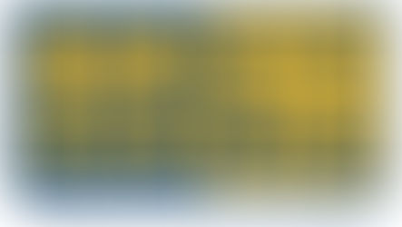 国会政党　国民民主党の通信簿