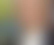 衆議院議員　中谷元君の通信簿