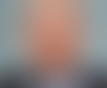 衆議院議員　森英介君の通信簿