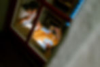 L1560106.jpg