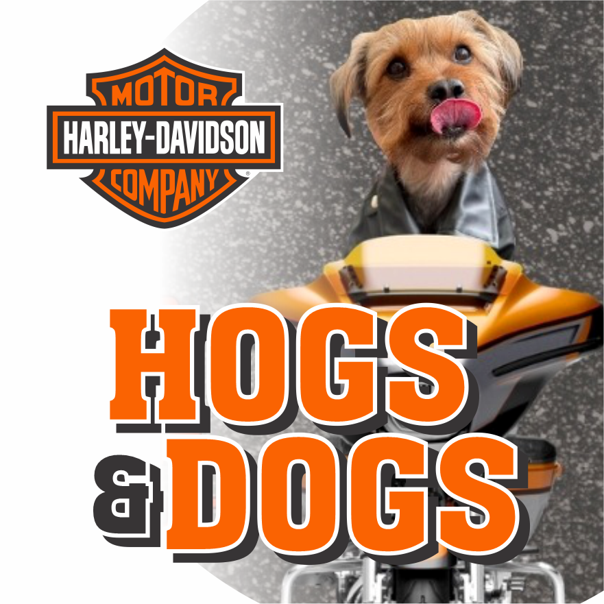 Hogs & Dogs