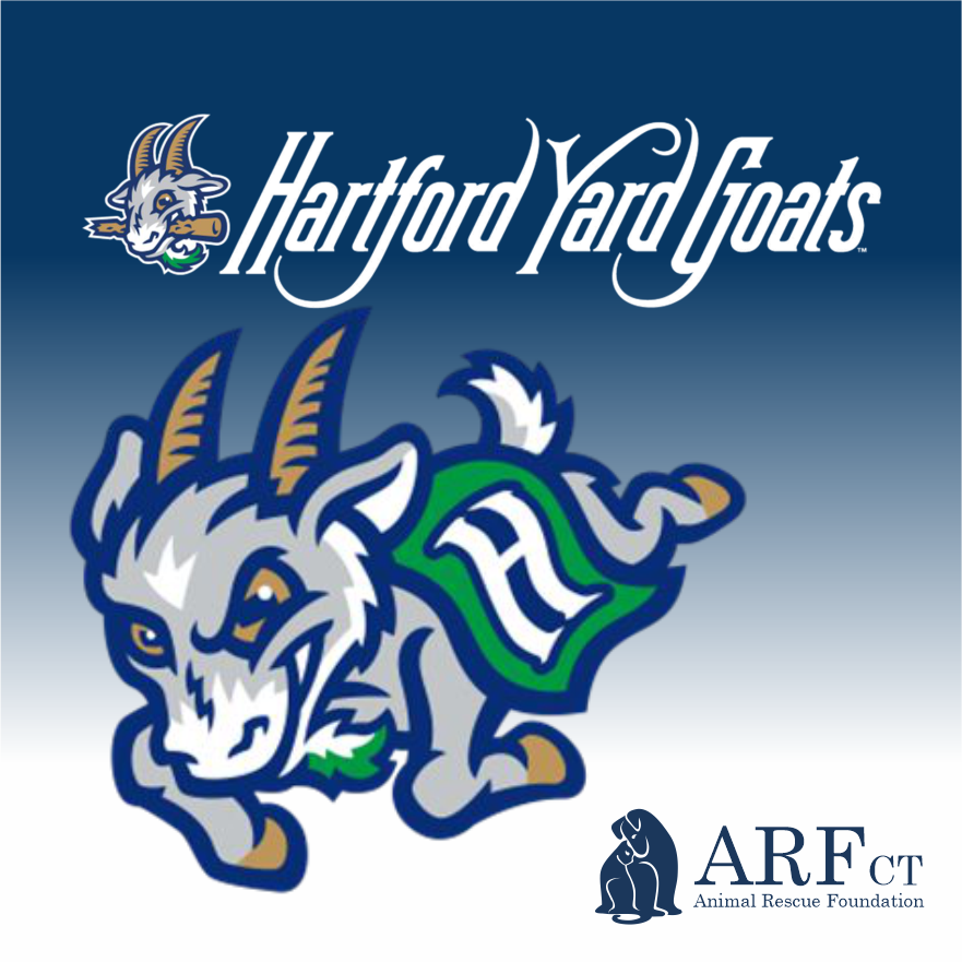 Hartford Yard Goats Game