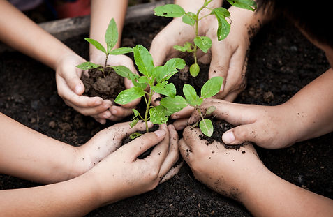 Collaborative Relationships with parents