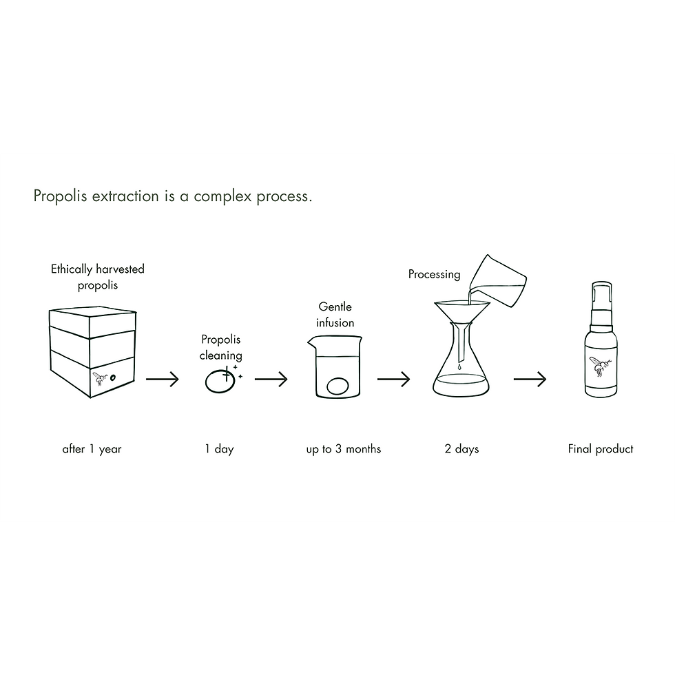Thumbnail: propolis processing