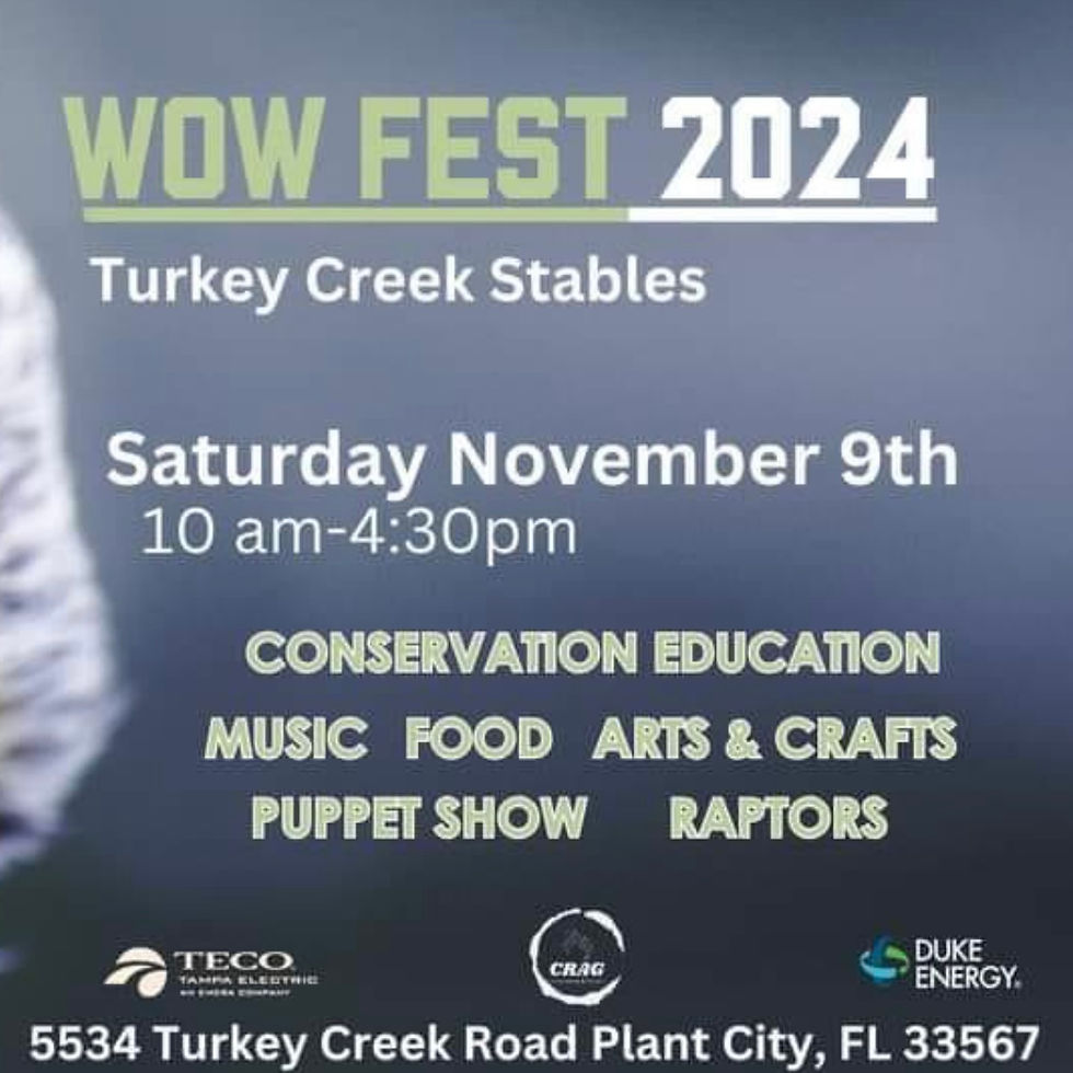 Wonders of Wildlife Festival