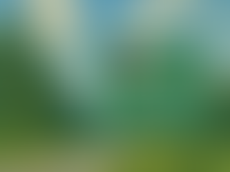 🏡♠️ "우리 집 포커 게임, 이제는 합법으로?" — 노스캐롤라이나 HB424 법안 통과 임박! 🔏🃏