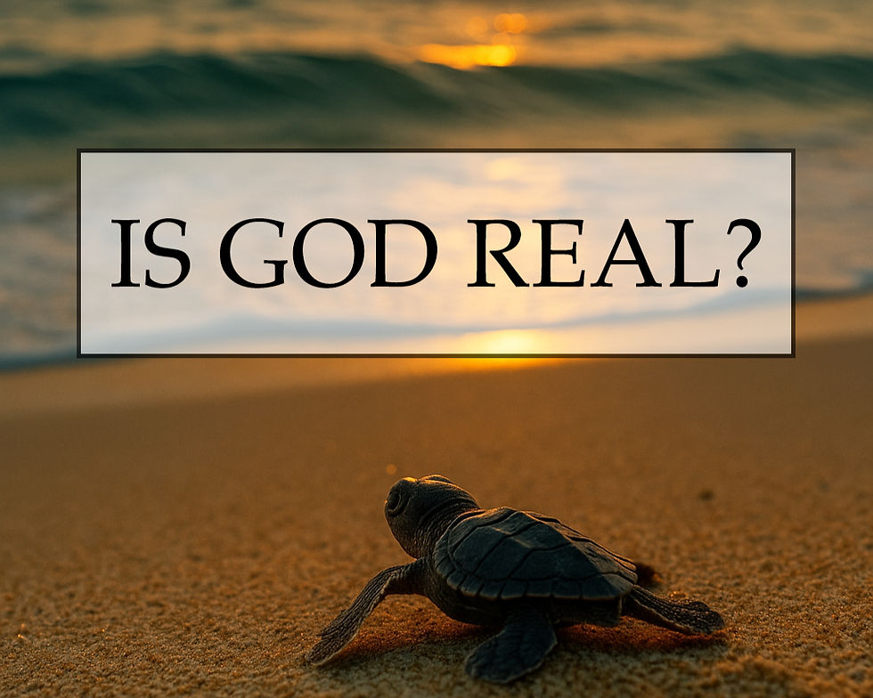 A baby sea turtle crawling toward the ocean at sunrise, with golden light reflecting off the waves and sand.