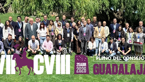 Guadalajara acogió el 108º Pleno del Consejo COLEF en un momento clave para la profesión
