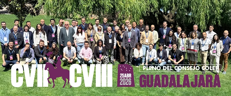 Guadalajara acogió el 108º Pleno del Consejo COLEF en un momento clave para la profesión
