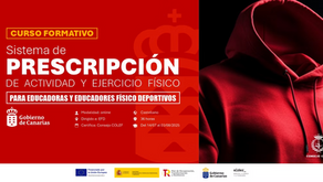 Curso intensivo y gratuito para EFD: ¡tu acceso a la bolsa de empleo del PAEF en Canarias!