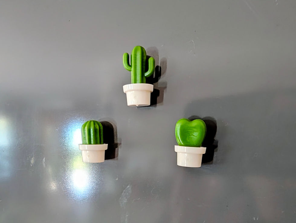 Thumbnail: Succulent Fridge Magnets