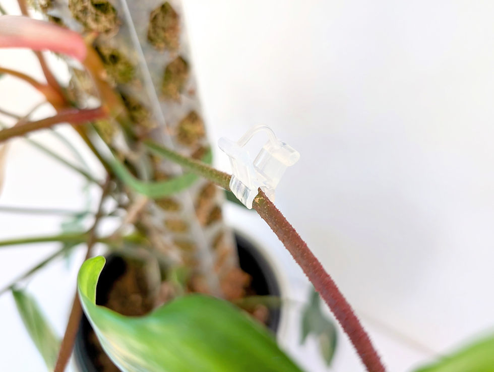 Thumbnail: Stem Repair Clips - 10 pack