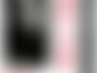 ある戦いの記録