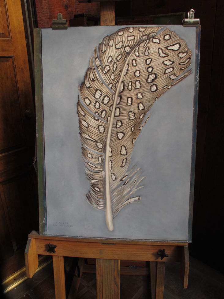 Feather #28, wide.jpg