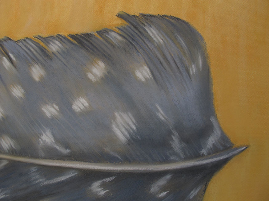 Feather #66.jpg