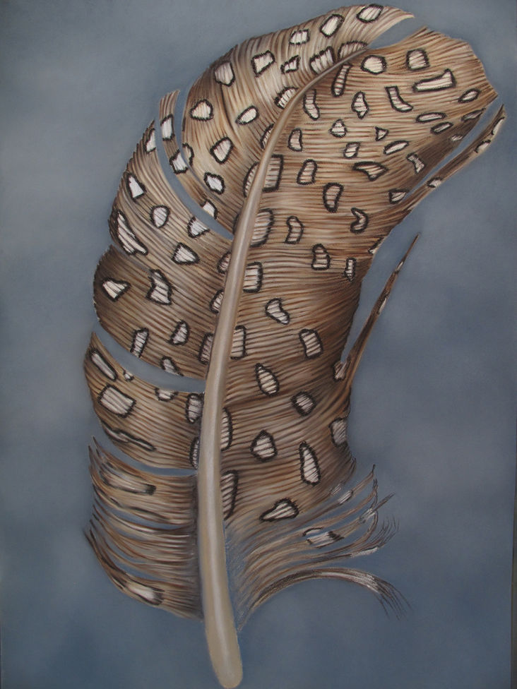 Feather #36, 39_x28_, pastel on paper (2014).jpg