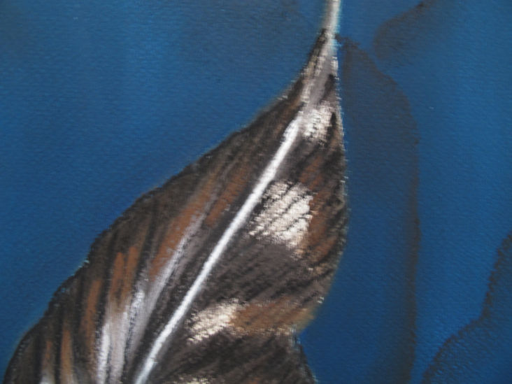 Feather #32, detail 1.jpg