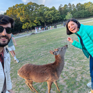 Kyoto ve Osaka Gezi Rehberi: Nara