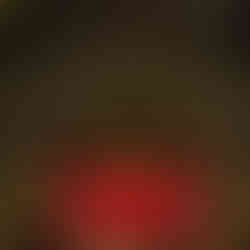 Kölner Dom Weihnachtsmarkt