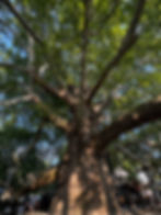 Bursa’da Günübirlik Gezi Rotası